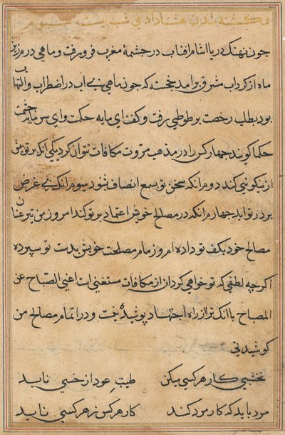 Pagina da Racconti di un pappagallo Tuti-nama: pagina di testo, c. 1560 da Unbekannt
