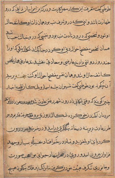 Pagina da Tales of a Parrot Tuti-nama: pagina di testo, c. 1560 da Unbekannt