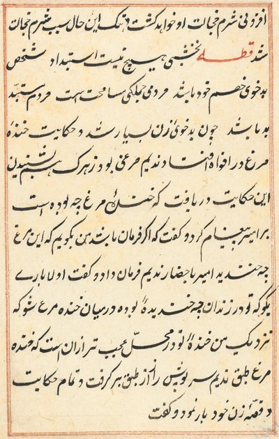 Pagina da Tales of a Parrot Tuti-nama: pagina di testo, c. 1560 da Unbekannt