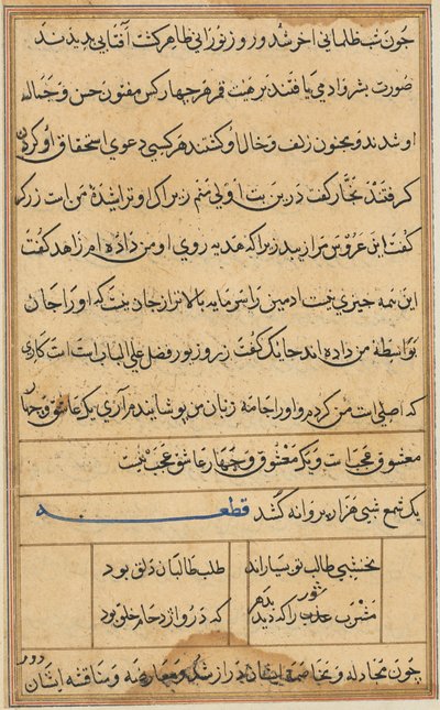 Pagina da Tales of a Parrot Tuti-nama: pagina di testo da Unbekannt