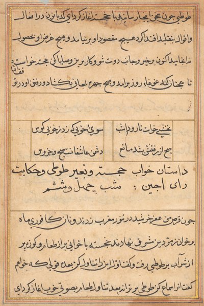 Pagina da Tales of a Parrot Tuti-nama: pagina di testo, c. 1560 da Unbekannt