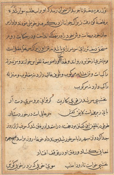 Pagina da Tales of a Parrot Tuti-nama: pagina di testo, c. 1560 da Unbekannt