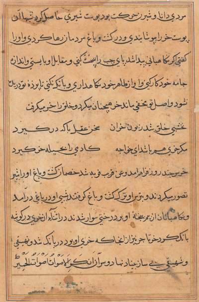 Pagina da Tales of a Parrot Tuti-nama: pagina di testo da Unbekannt