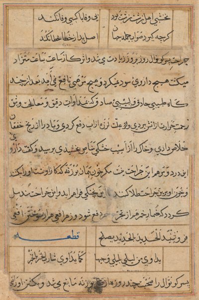 Pagina da Racconti di un pappagallo Tuti-nama: pagina di testo, c. 1560 da Unbekannt