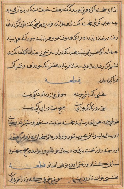 Pagina da Racconti di un pappagallo Tuti-nama: pagina di testo, c. 1560 da Unbekannt