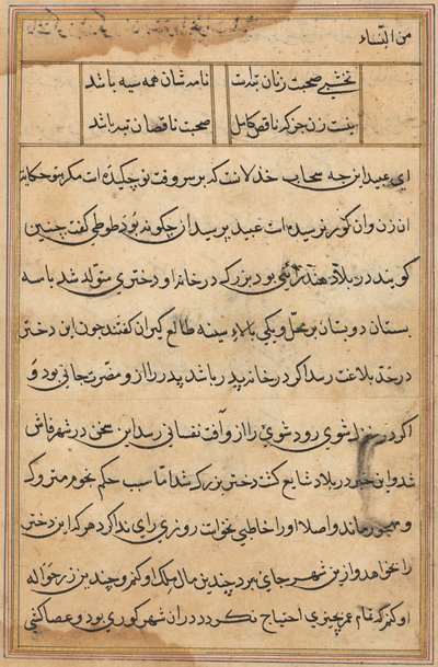 Pagina da Tales of a Parrot Tuti-nama: pagina di testo, c. 1560 da Unbekannt