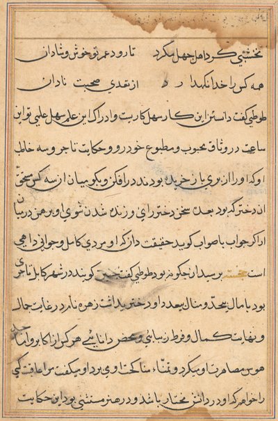 Pagina da Racconti di un pappagallo Tuti-nama: pagina di testo, c. 1560 da Unbekannt