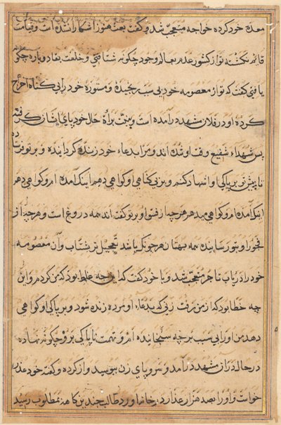 Pagina da Racconti di un pappagallo Tuti-nama: pagina di testo, c. 1560 da Unbekannt