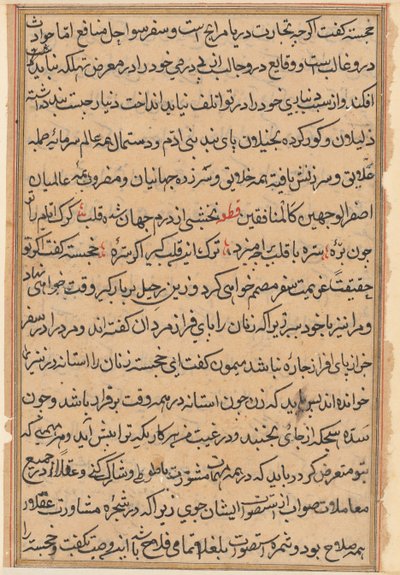 Pagina da Le storie di un pappagallo Tuti-nama: pagina di testo, c. 1560 da Unbekannt