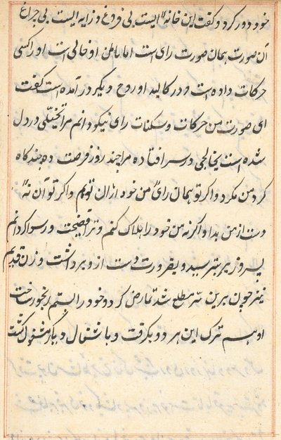 Pagina da Racconti di un pappagallo Tuti-nama: pagina di testo, c. 1560 da Unbekannt