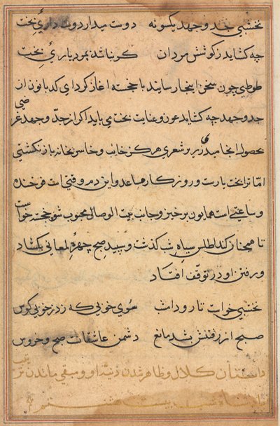 Pagina da Tales of a Parrot Tuti-nama: pagina di testo, c. 1560 da Unbekannt