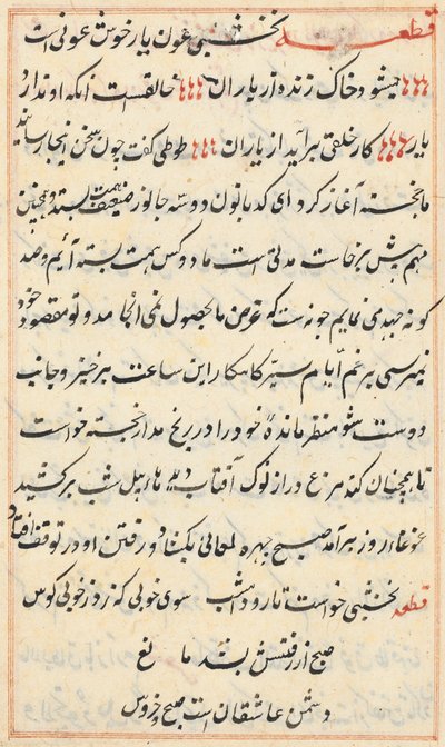 Pagina da Tales of a Parrot Tuti-nama: pagina di testo, c. 1560 da Unbekannt