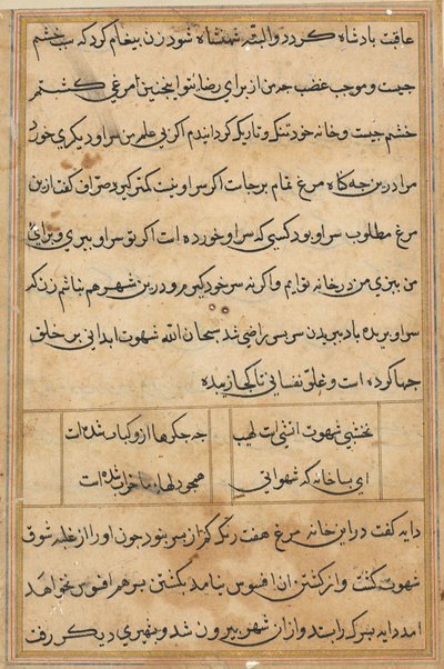 Pagina da Tales of a Parrot Tuti-nama: pagina di testo da Unbekannt