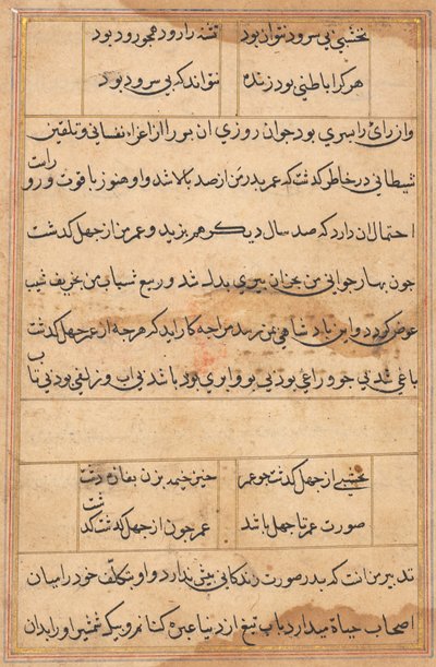 Pagina da Tales of a Parrot Tuti-nama: pagina di testo da Unbekannt