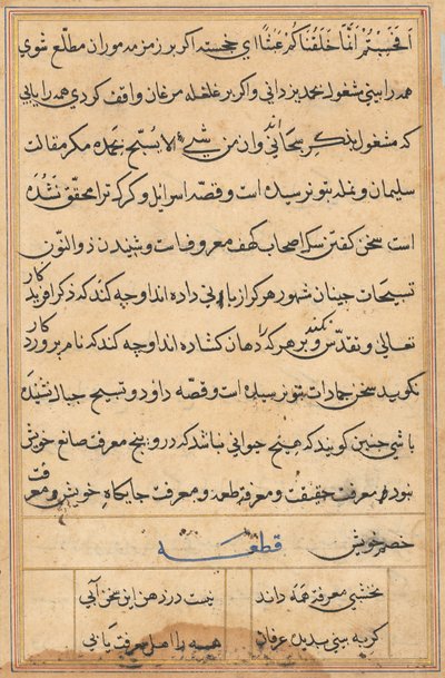 Pagina da Racconti di un pappagallo Tuti-nama: pagina di testo, c. 1560 da Unbekannt