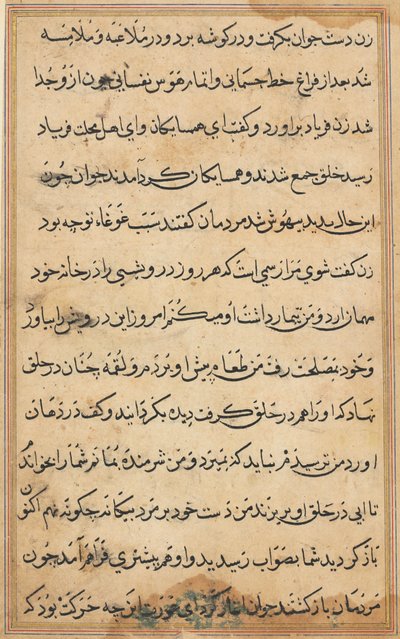 Pagina da Tales of a Parrot Tuti-nama: pagina di testo, c. 1560 da Unbekannt