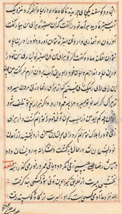 Pagina da Tales of a Parrot Tuti-nama: pagina di testo da Unbekannt