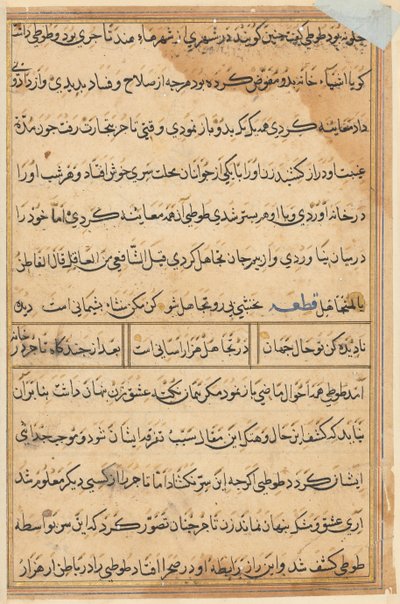 Pagina da Tales of a Parrot Tuti-nama: pagina di testo, c. 1560 da Unbekannt