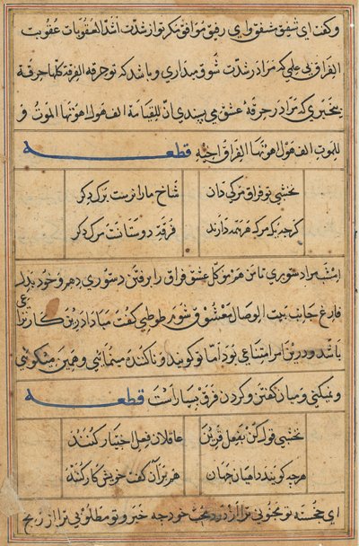 Pagina da Tales of a Parrot Tuti-nama: pagina di testo da Unbekannt