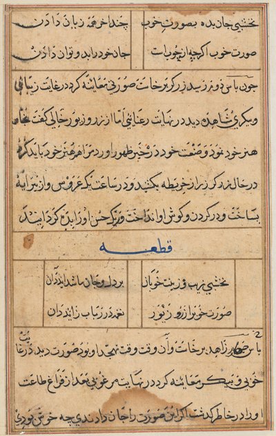 Pagina da Tales of a Parrot Tuti-nama: pagina di testo, c. 1560 da Unbekannt