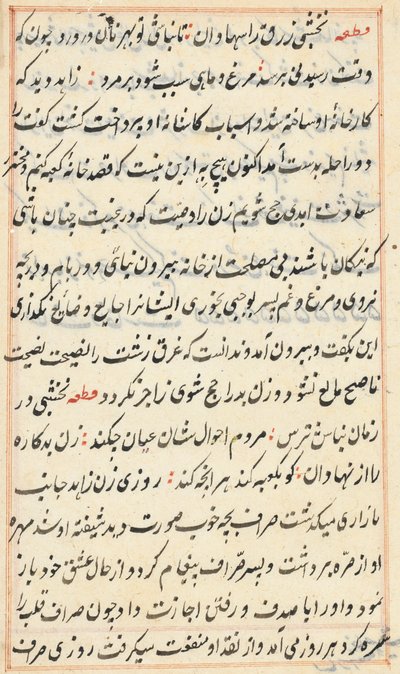 Pagina da Tales of a Parrot Tuti-nama: pagina di testo da Unbekannt