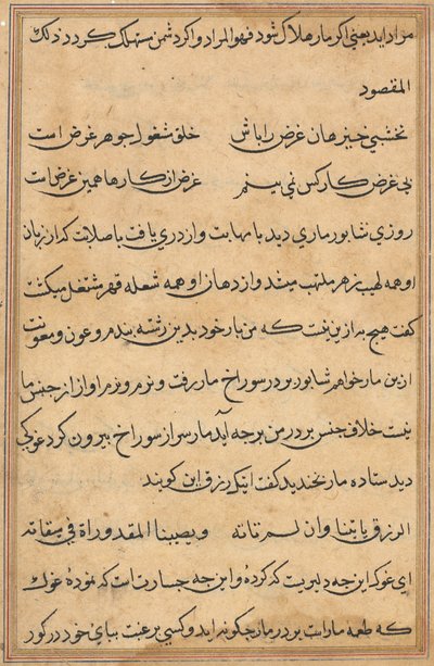Pagina da Tales of a Parrot Tuti-nama: pagina di testo, c. 1560 da Unbekannt