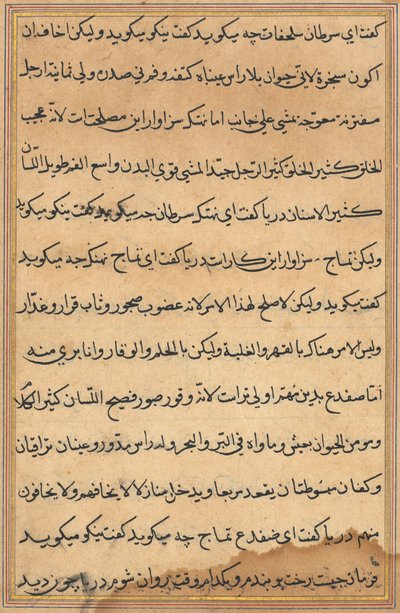 Pagina da Tales of a Parrot Tuti-nama: pagina di testo da Unbekannt