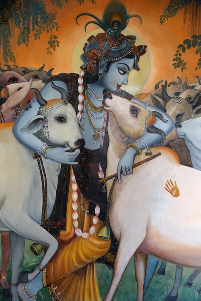 Krishna che abbraccia le mucche da Unbekannt