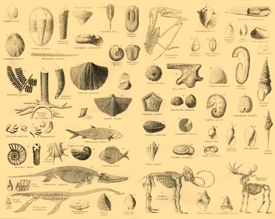 Paleontologia, c1910 da Unbekannt