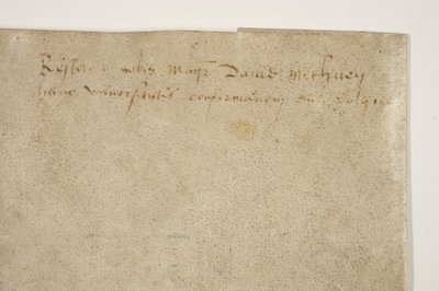 Bolla papale che conferma la carta del vescovo Henry Wardlaw, verso da Unbekannt