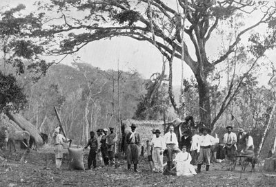 Raccolta di tè paraguaiano, Paraguay, 1911 da Unbekannt