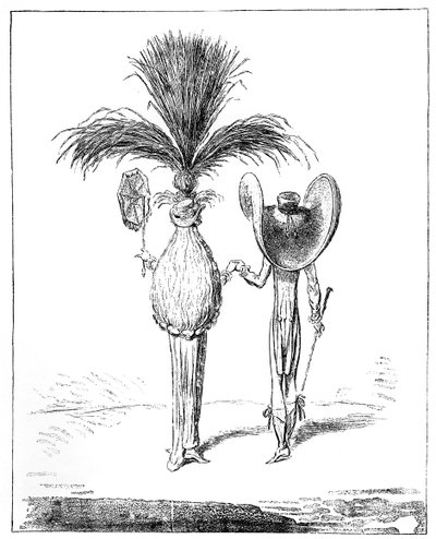 Ombrelli per il 1795 da Unbekannt