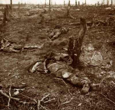 Sentiero tra i corpi, c1914-c1918 da Unbekannt