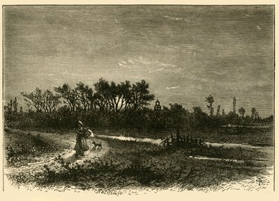 Peakirk, dal Canale, 1898 da Unbekannt