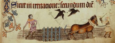 Contadini che arano dal Luttrell Psalter, ca 1330 da Unbekannt