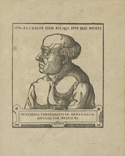 Philippus Theophrastus Aureolus Bombastus von Hohenheim Paracelsus, ca 1538 da Unbekannt