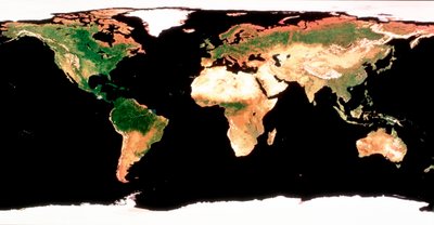 Fotomosaico della Terra senza copertura nuvolosa da Unbekannt