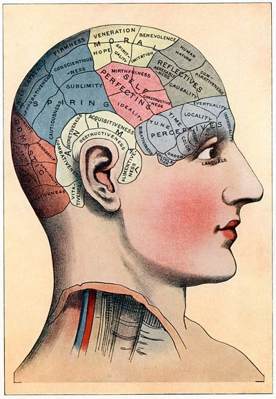 Carta frenologica, che mostra le presunte aree di attività del cervello, c1920 da Unbekannt