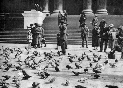 Piccioni a Trafalgar Square, Londra, 1926-1927 da Unbekannt