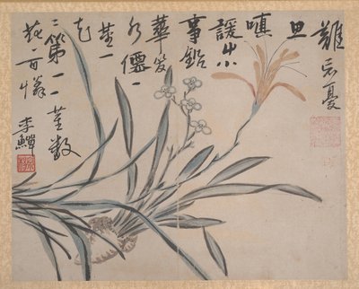 Piante e verdure, datato 1740 da Unbekannt
