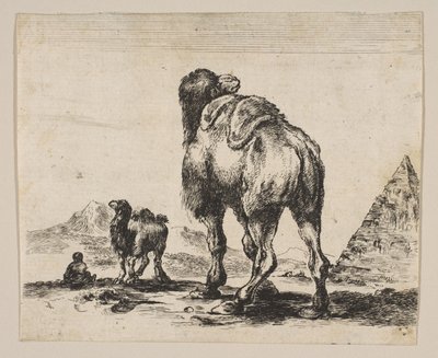 Tavola 18: cammello visto da dietro con piramide a destra, da Vari animali Di..., dopo 1641 da Unbekannt