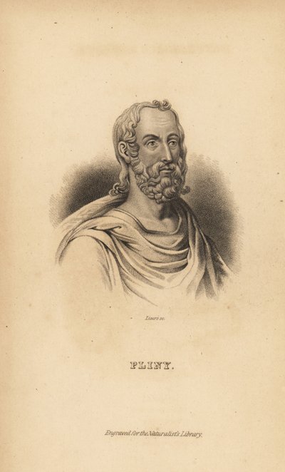 Plinio il Vecchio, autore romano, naturalista e filosofo naturale, 23-79 d.C. da Unbekannt