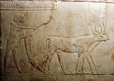Aratura da una stele egizia, XVIII dinastia, 1332 a.C.-1323 a.C. da Unbekannt