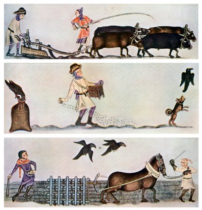 Aratura, semina e erpicatura da Unbekannt