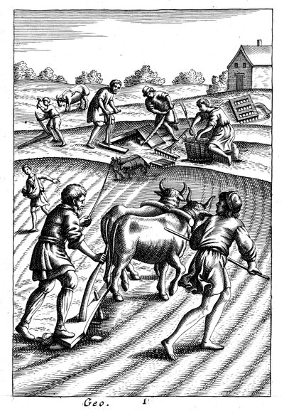 Aratura con buoi, semina a spaglio e erpicatura, XVIII secolo da Unbekannt