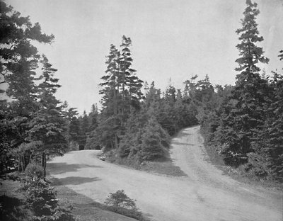 Point Pleasant Park, Halifax, Nuova Scozia da Unbekannt