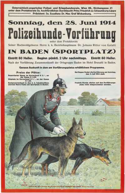 Dimostrazione di cani poliziotto a Baden, 1914 da Unbekannt