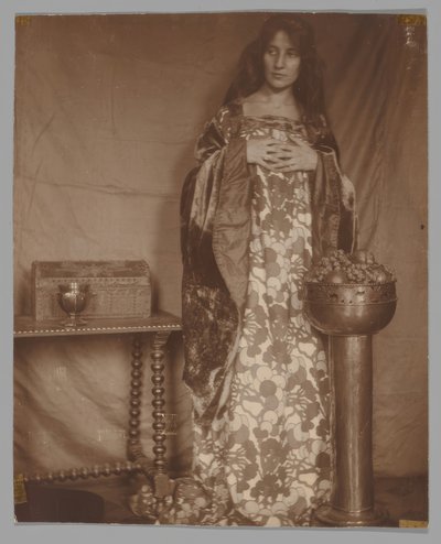 Ritratto di Alice Dieudonne Chase da Unbekannt