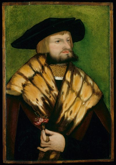 Ritratto di Leonhard Fuchs, 1525 da Unbekannt
