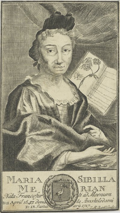 Ritratto di Maria Sibylla Merian da Unbekannt